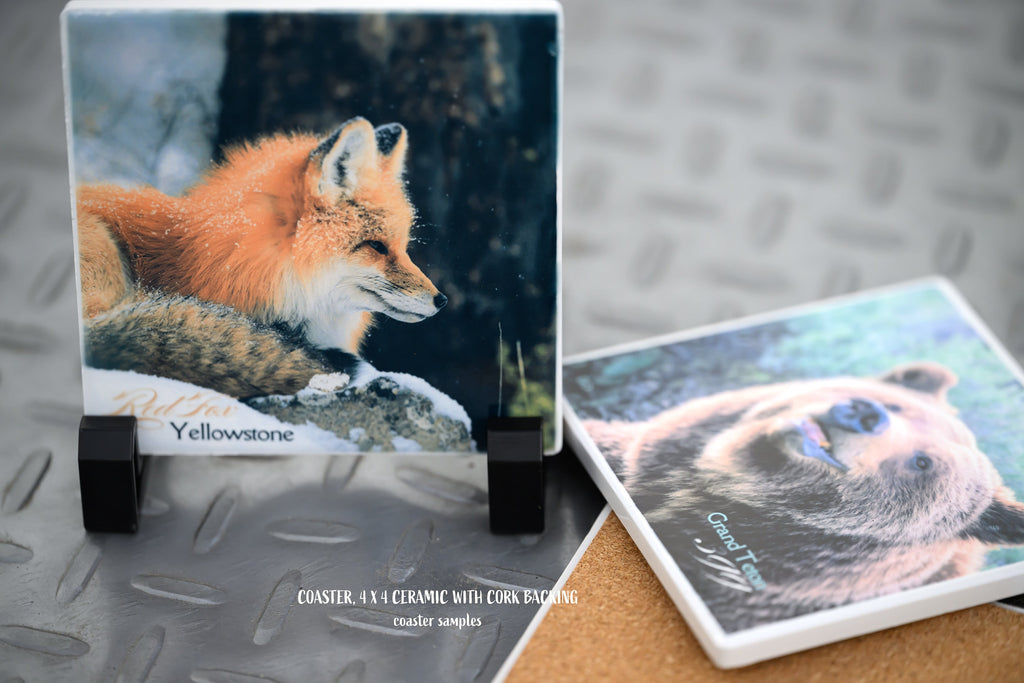 Ceramic Coasters with Original Wildlife Prints