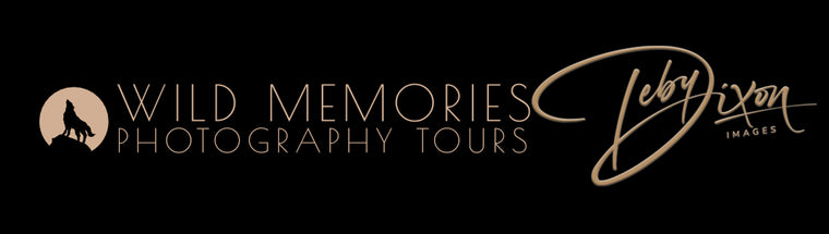 Wild Memories Photography Tours
